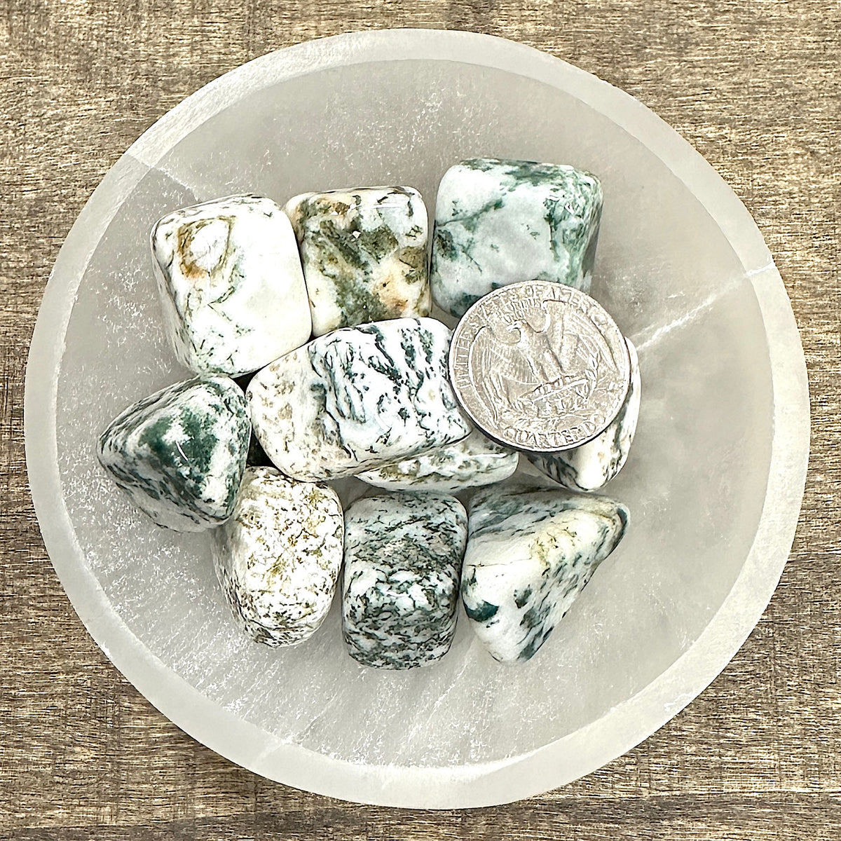 Overhead comparison shot of a US quarter coin and various Tree Agate tumbled stones in a small bowl.