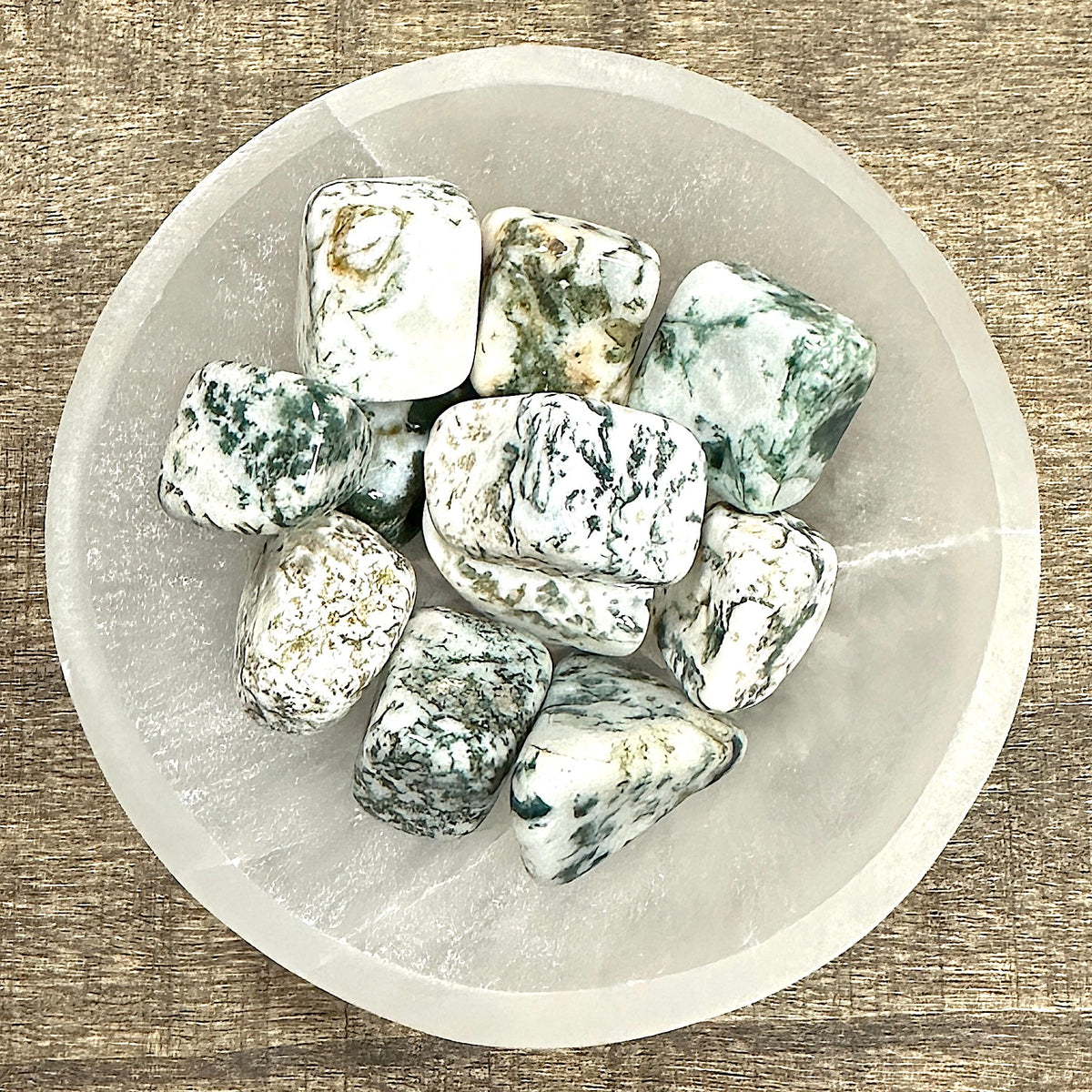Overhead shot of various Tree Agate tumbled stones in a small bowl.