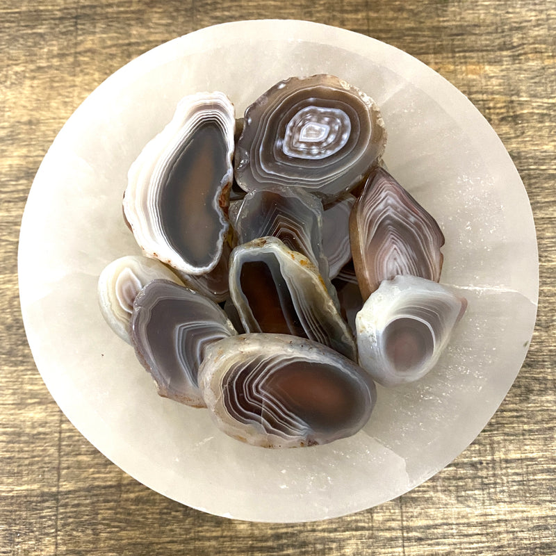 Overhead shot of various Botswana Agate slabs in a small bowl.