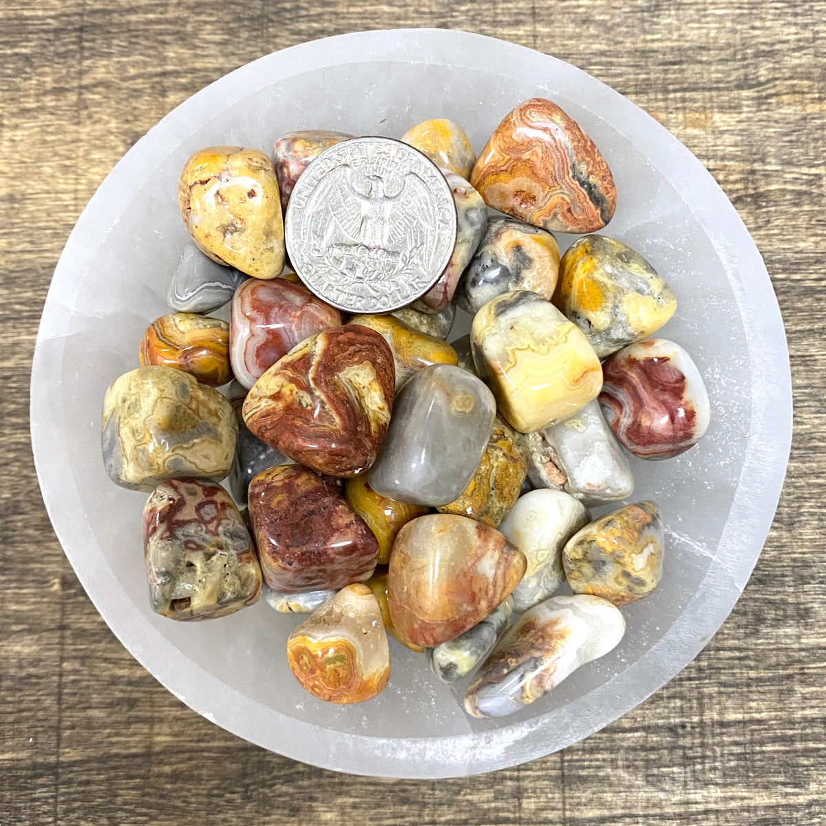 Overhead comparison shot of a US Quarter coin and various Crazy Lace Agate tumbled stones in a small bowl.
