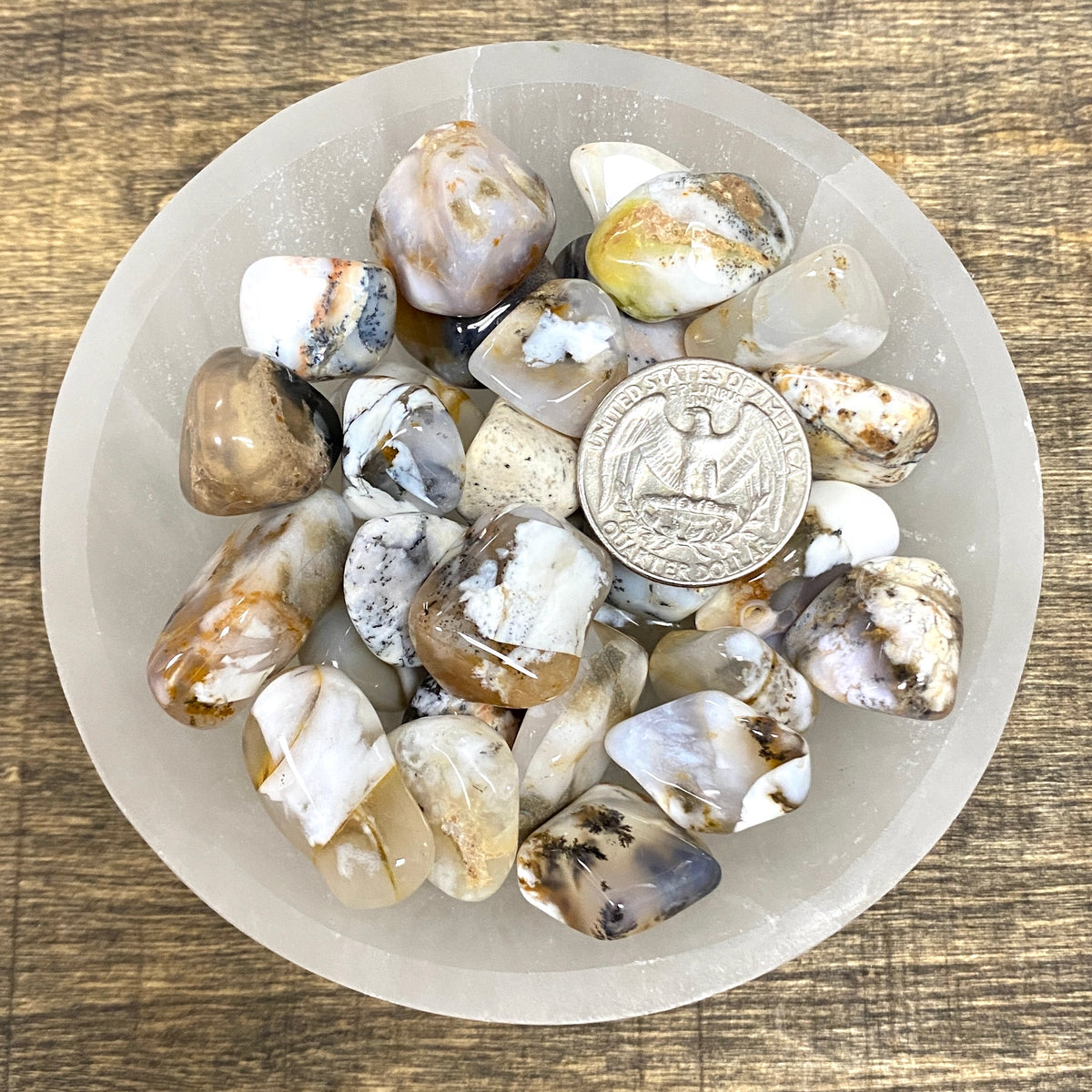 Overhead comparison shot of a US quarter coin and various Dendritic Agate tumbled stones in a small bowl.
