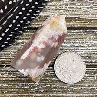 Comparison shot of a US quarter coin and a cherry blossom agate point