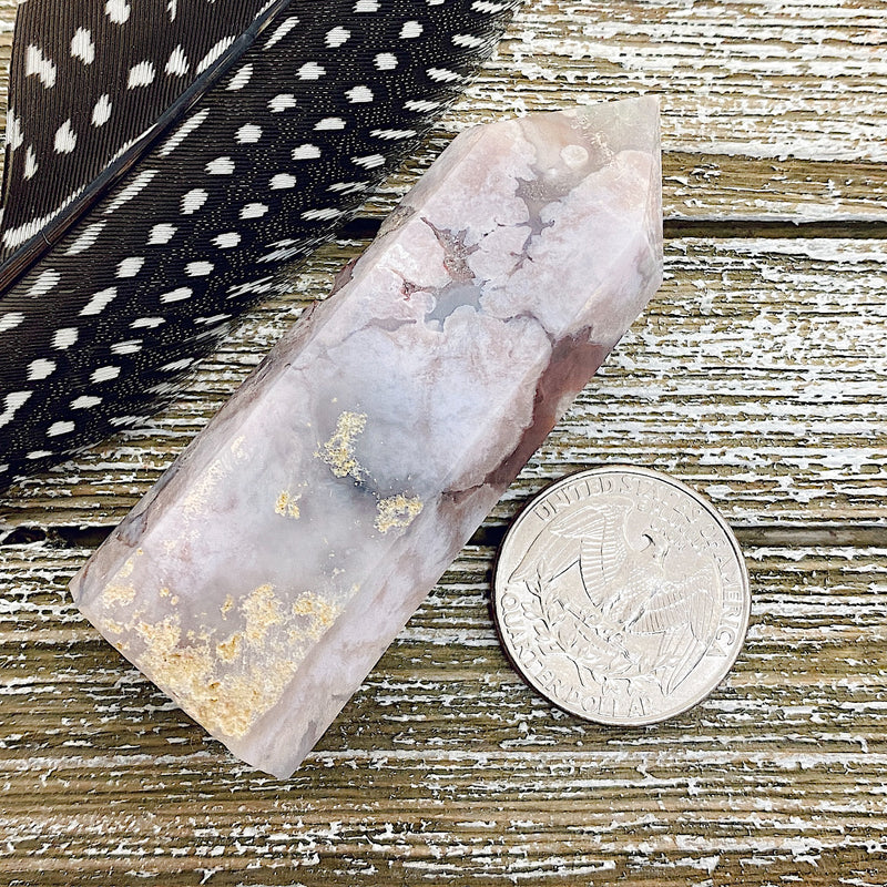 Comparison shot of a US quarter coin and a cherry blossom agate point