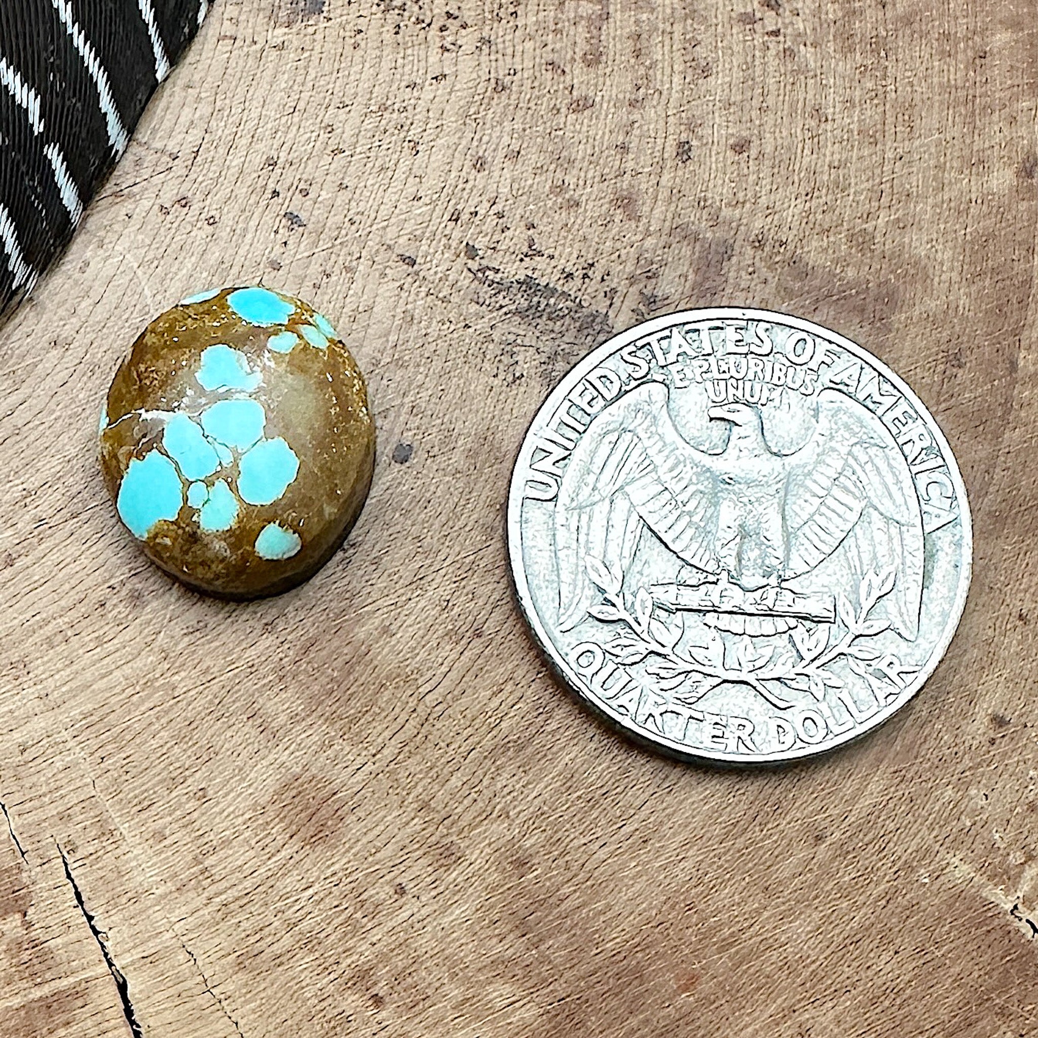 Number 8 (Spider Web) Turquoise – Native Visions, LLC