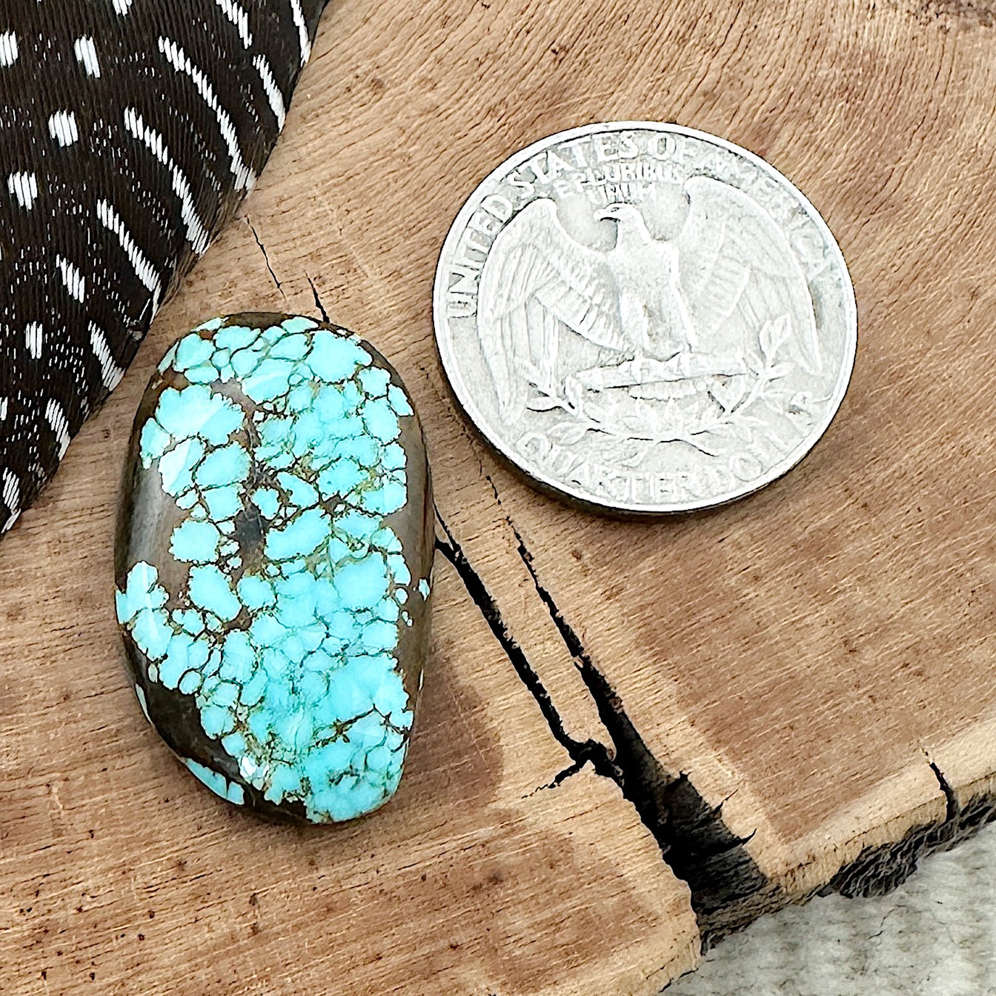 Number 8 (Spider Web) Turquoise – Native Visions, LLC