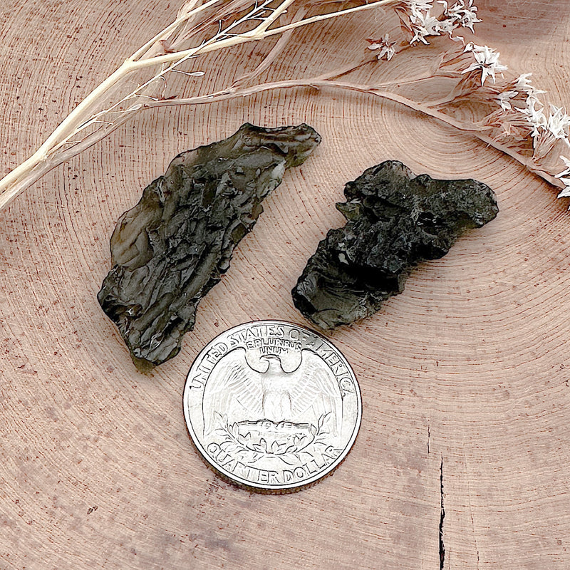 Moldavite 5 + Grams