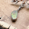 Ammolite Pendant