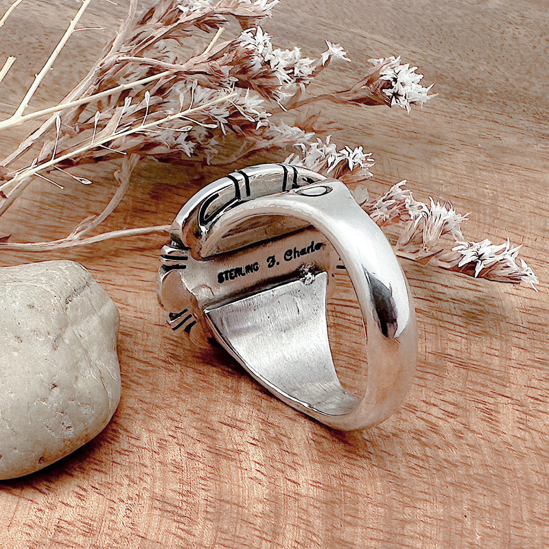 Dry Creek Turquoise Ring Size 14 – Native Visions, LLC