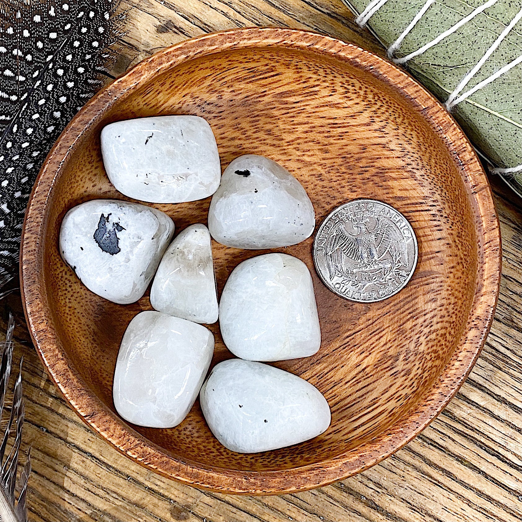 Moonstone – Native Visions, LLC